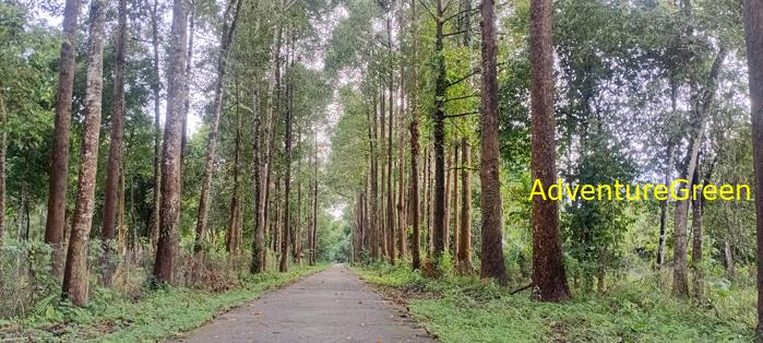 Wildlife Tour at Cat Tien National Park, Vietnam