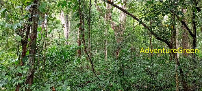 Wildlife Tour at Cat Tien National Park, Vietnam