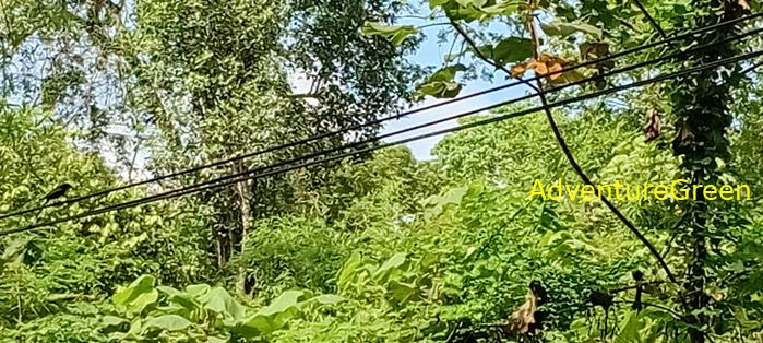 Wildlife Tour at Cat Tien National Park, Vietnam