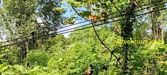 Wildlife Tour at Cat Tien National Park, Vietnam