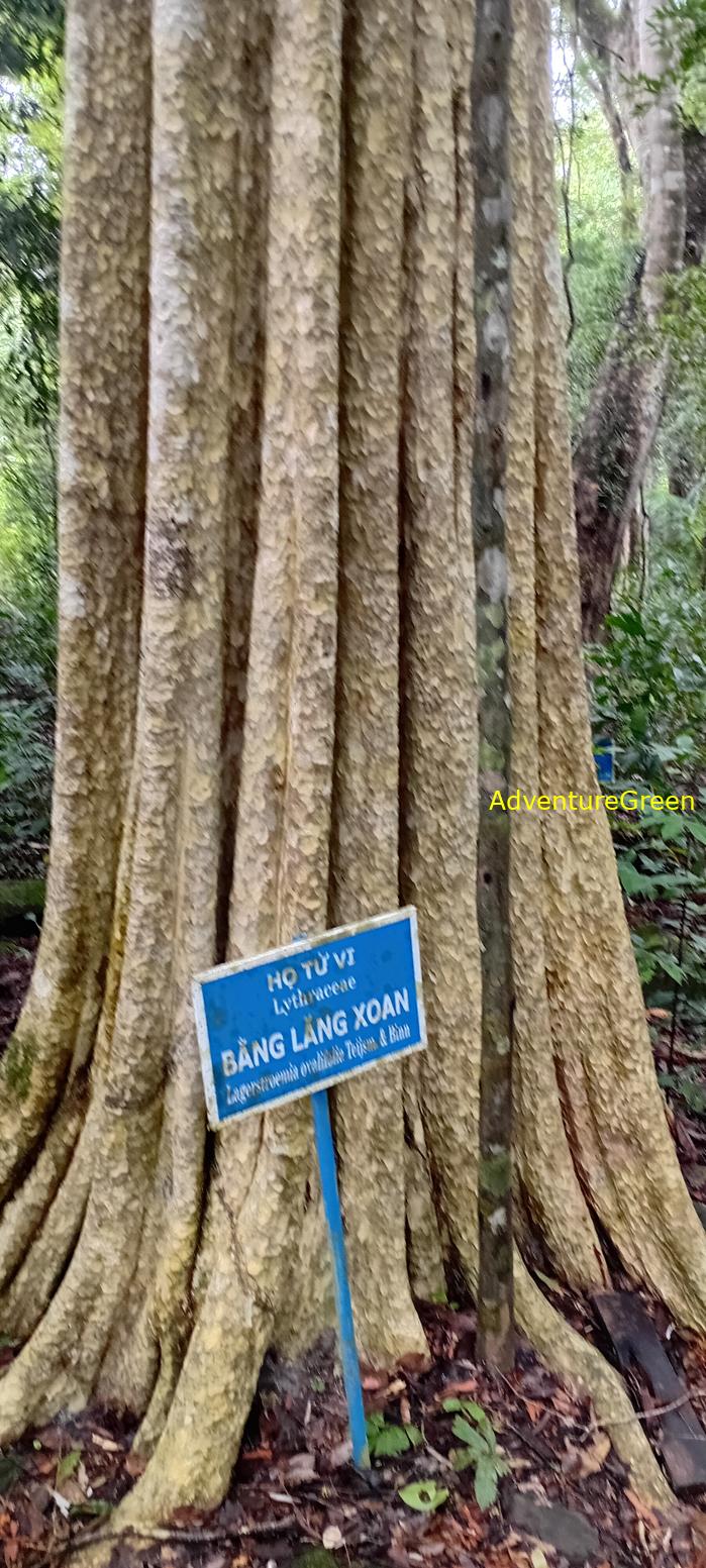 Wildlife Tour at Cat Tien National Park, Vietnam