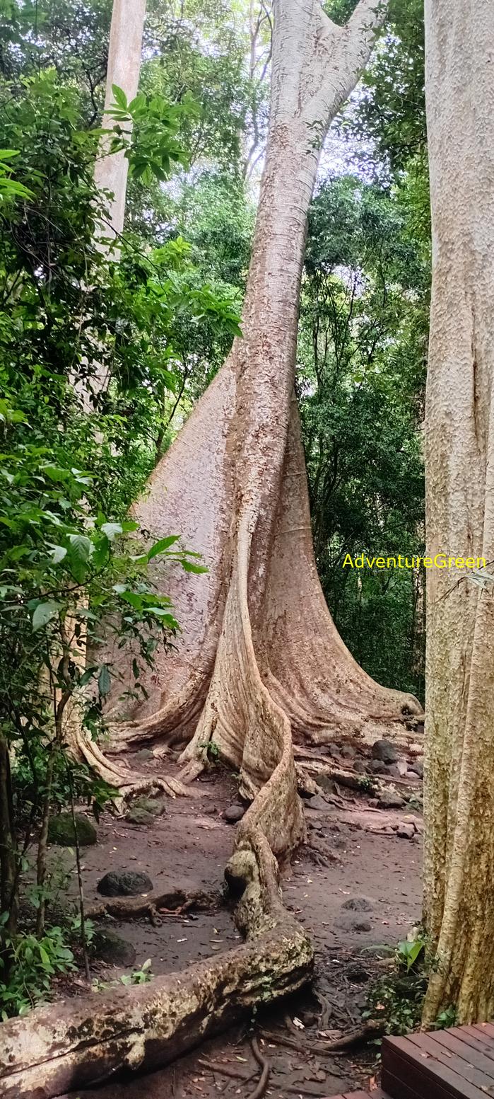 Wildlife Tour at Cat Tien National Park, Vietnam