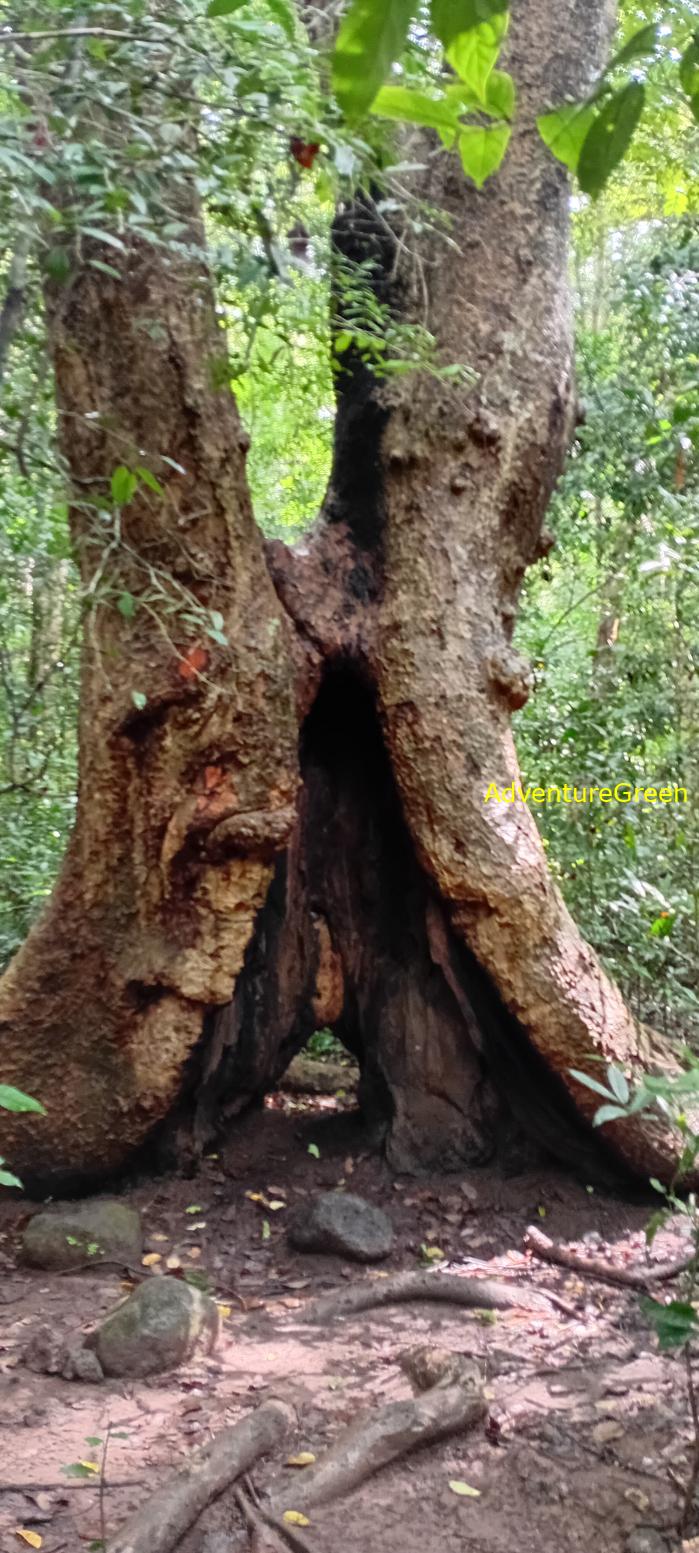 Wildlife Tour at Cat Tien National Park, Vietnam