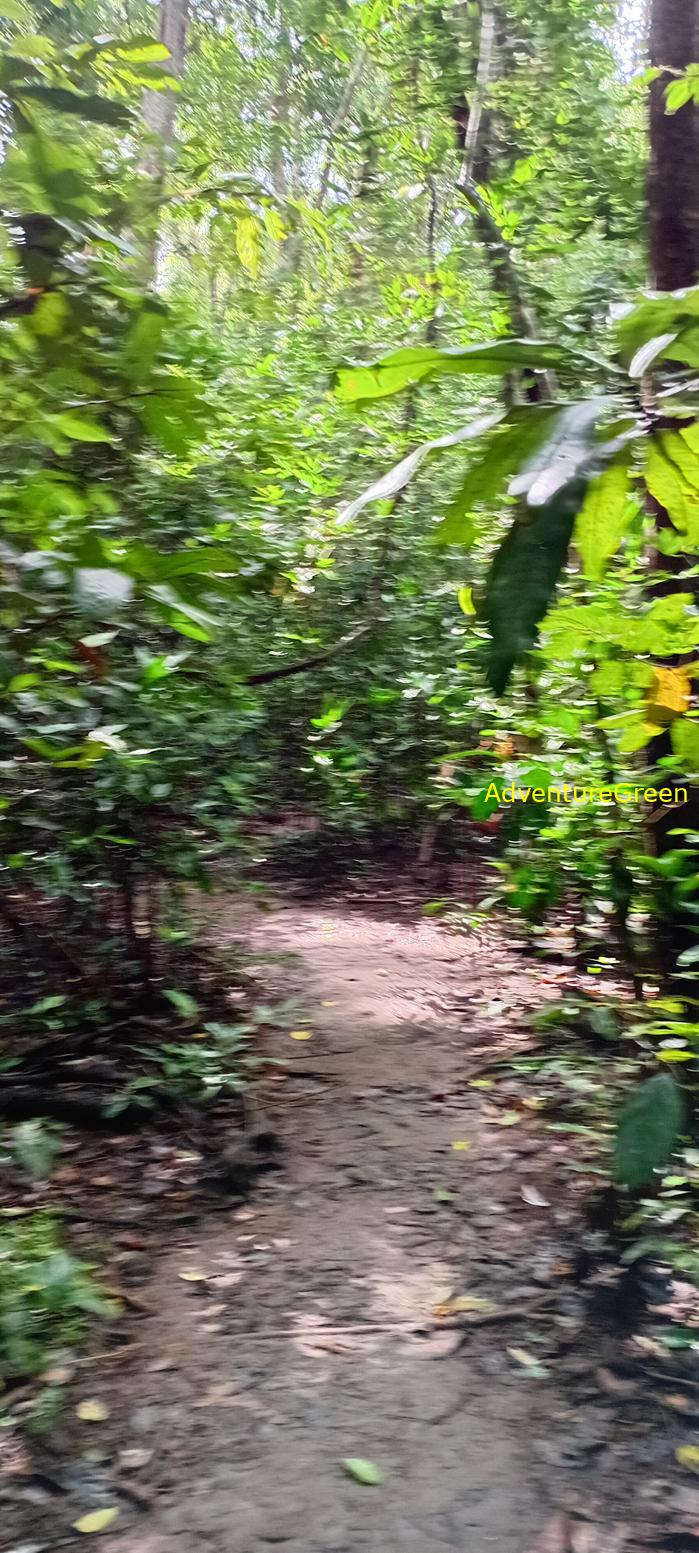 Wildlife Tour at Cat Tien National Park, Vietnam