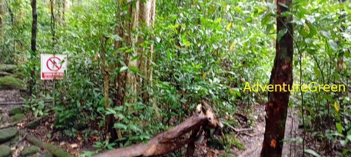 Wildlife Tour at Cat Tien National Park, Vietnam