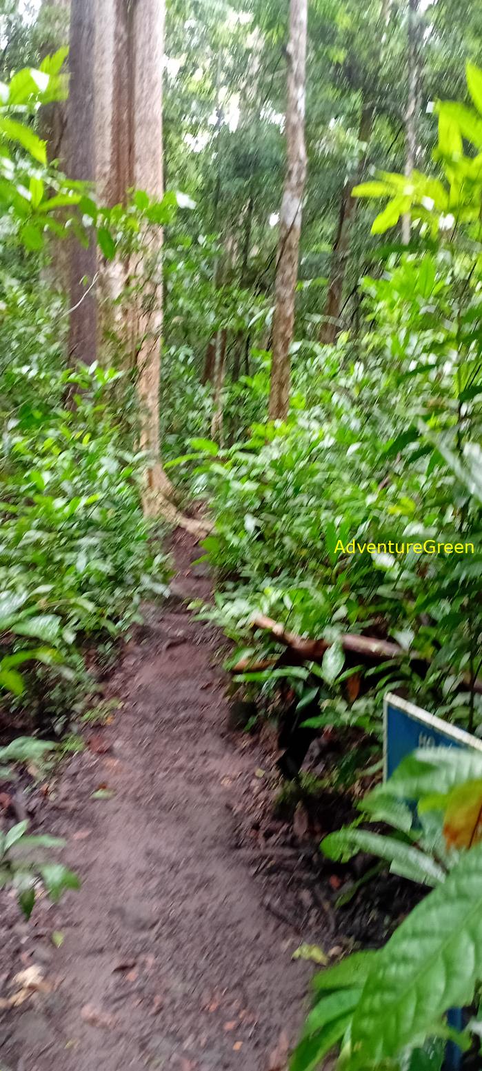 Wildlife Tour at Cat Tien National Park, Vietnam