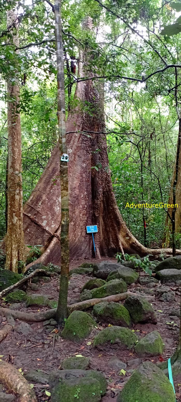 Wildlife Tour at Cat Tien National Park, Vietnam