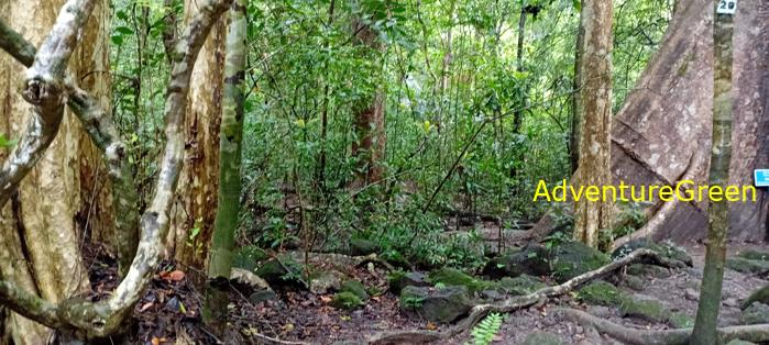 Wildlife Tour at Cat Tien National Park, Vietnam
