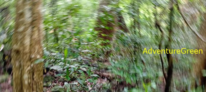 Wildlife Tour at Cat Tien National Park, Vietnam
