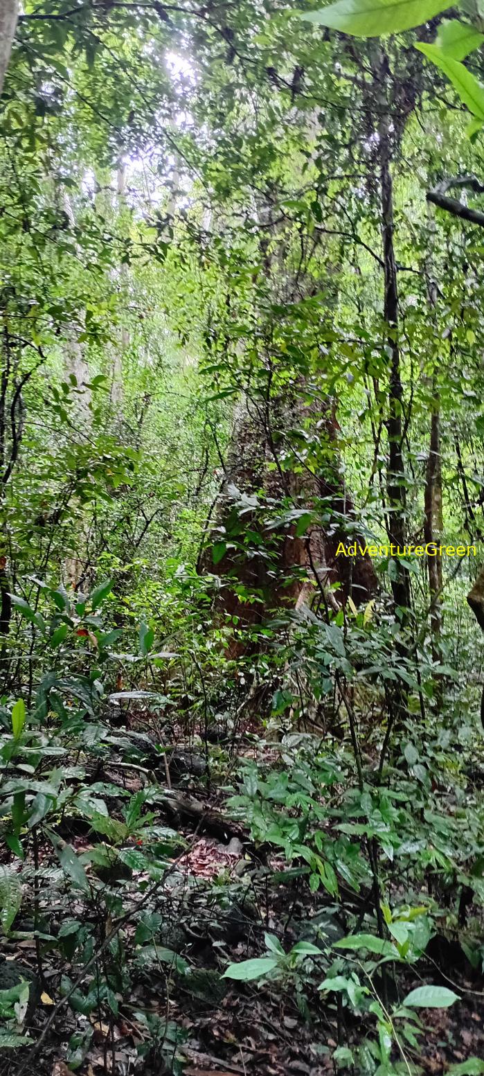 Wildlife Tour at Cat Tien National Park, Vietnam