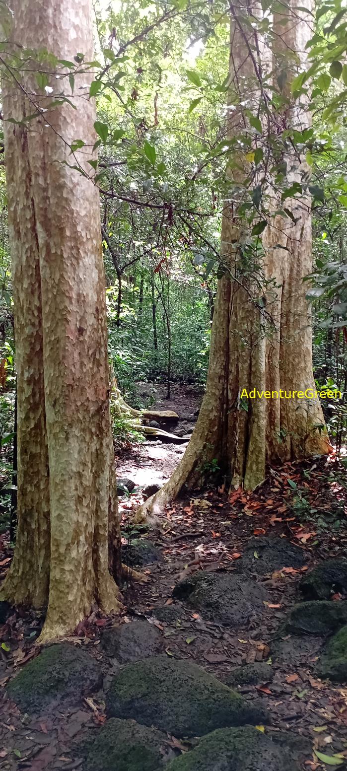Wildlife Tour at Cat Tien National Park, Vietnam