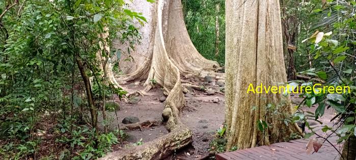 Wildlife Tour at Cat Tien National Park, Vietnam