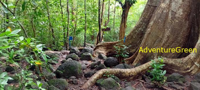 Wildlife Tour at Cat Tien National Park, Vietnam