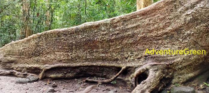 Wildlife Tour at Cat Tien National Park, Vietnam