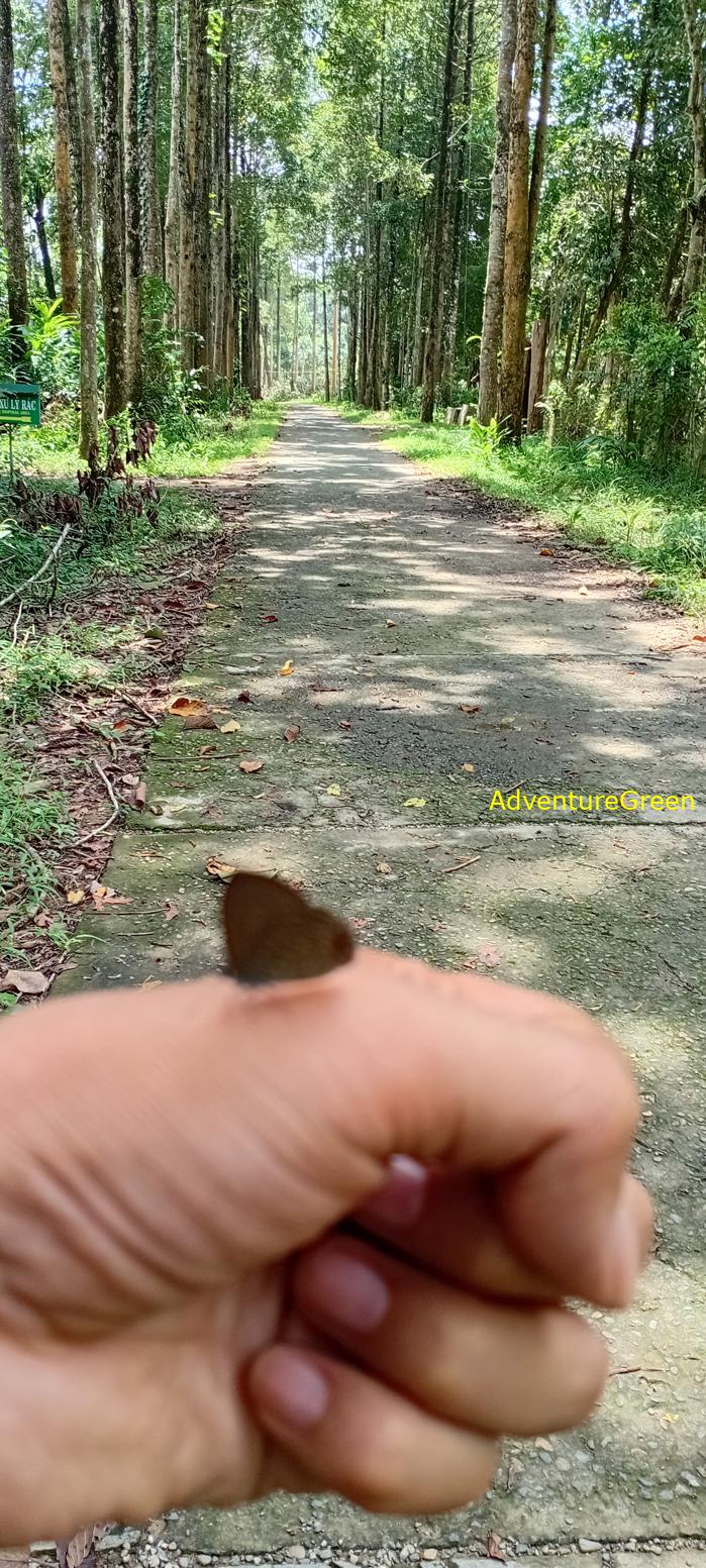 Wildlife Tour at Cat Tien National Park, Vietnam