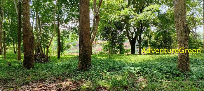 Wildlife Tour at Cat Tien National Park, Vietnam