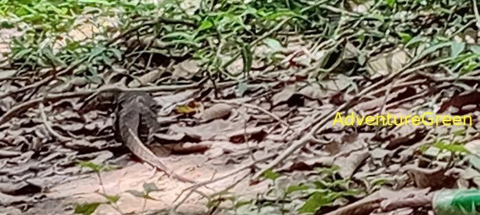 Wildlife Tour at Cat Tien National Park, Vietnam