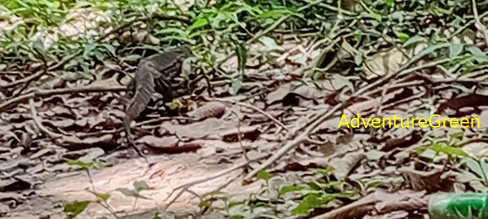 Wildlife Tour at Cat Tien National Park, Vietnam