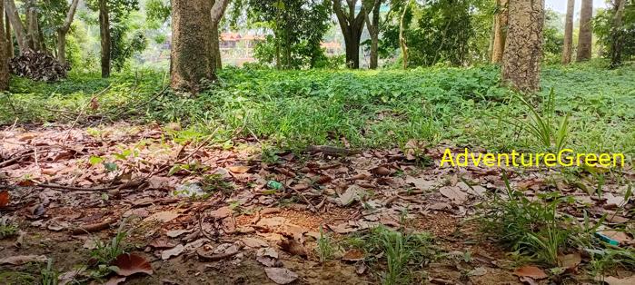 Wildlife Tour at Cat Tien National Park, Vietnam