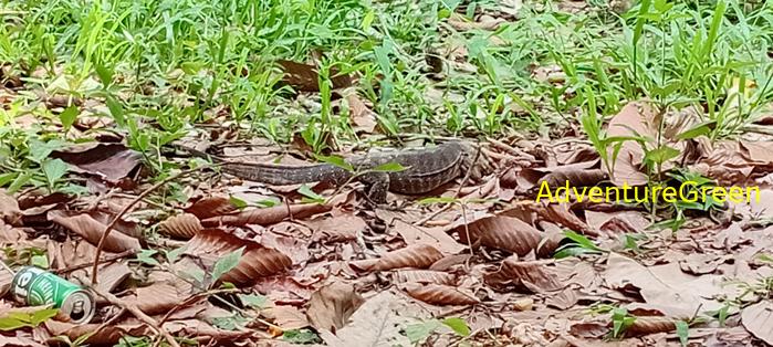 Wildlife Tour at Cat Tien National Park, Vietnam