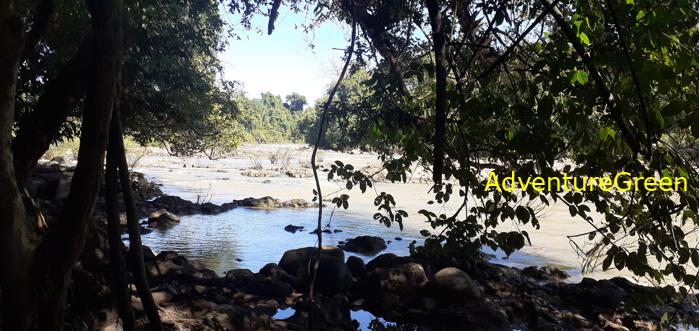 Travel guide to Cat Tien National Park Vietnam Travel guide to Cat Tien National Park Vietnam