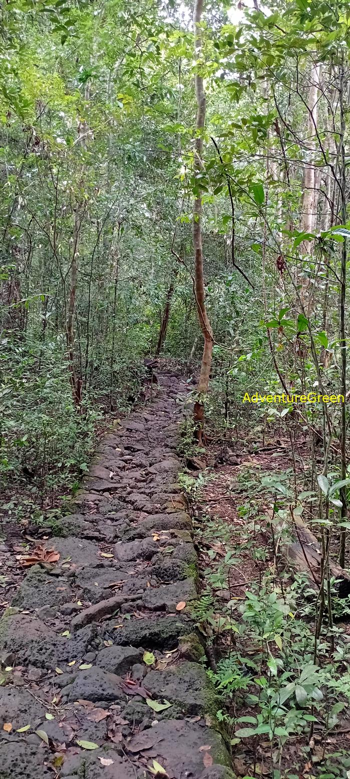 Travel guide to the Nam Cat Tien National Park in Vietnam Travel guide to the Nam Cat Tien National Park in Vietnam