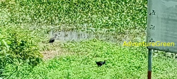 Travel guide to the Nam Cat Tien National Park in Vietnam Travel guide to the Nam Cat Tien National Park in Vietnam