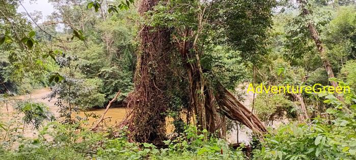 Travel guide to the Nam Cat Tien National Park in Vietnam Travel guide to the Nam Cat Tien National Park in Vietnam