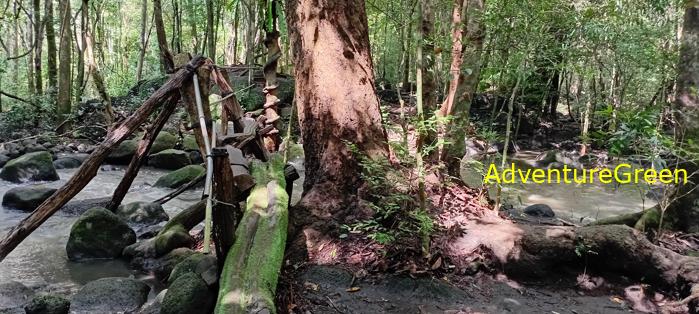 Travel guide to the Nam Cat Tien National Park in Vietnam Travel guide to the Nam Cat Tien National Park in Vietnam