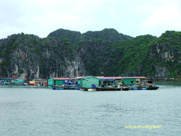 A floating village on the Lan Ha Bay near the Cat Ba Island Vietnam