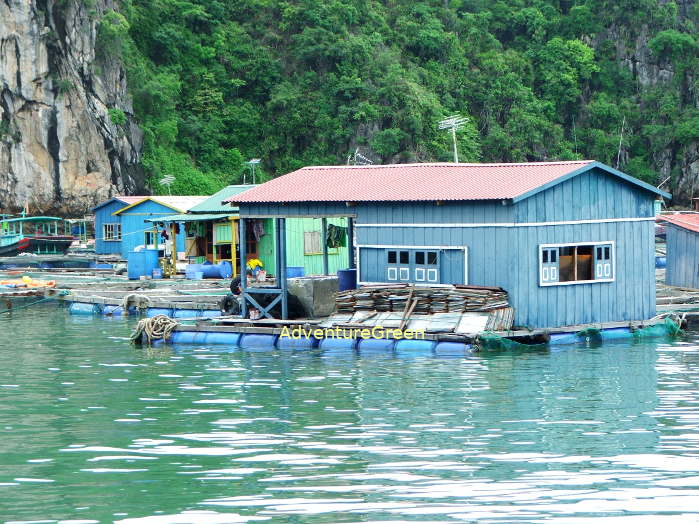 A floating village on Halong Bay