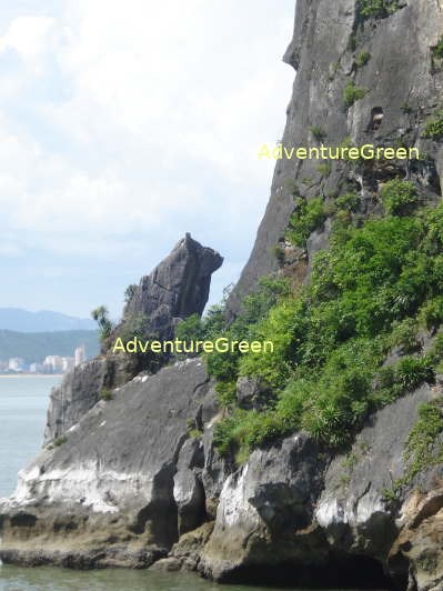 The Stone Dog on the Dau Go Island (housing the Dau Go and Thien Cung Caves)