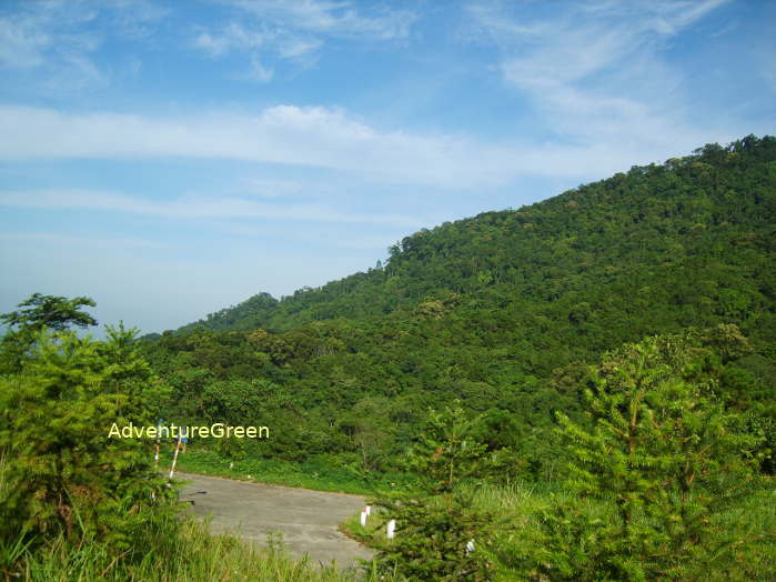 A hiking trail amid captivating nature at the Ba Vi National Park