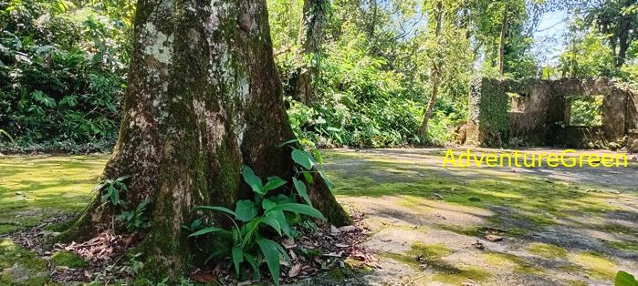 Ba Vi National Park Tour