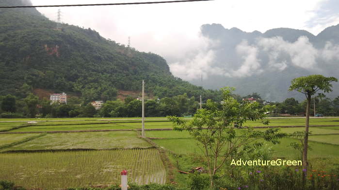 Green rice fields and sublime mountains at the Mai Chau Valley