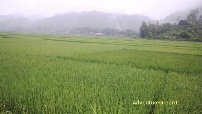 The landscape on our haking tour around the village