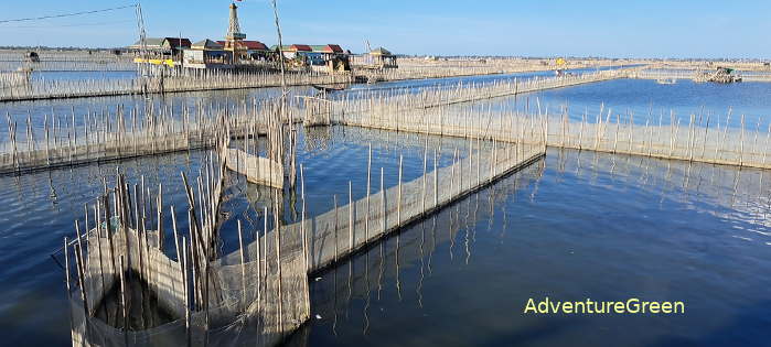 The Tam Giang Cau Hai Nature Reserve, Chuon Lagoon, Thua Thien Hue, Vietnam