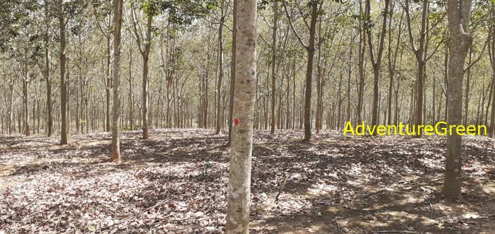 Travel guide to Kon Tum Province in the Central Highlands of Vietnam Travel guide to Kon Tum Province in the Central Highlands of Vietnam