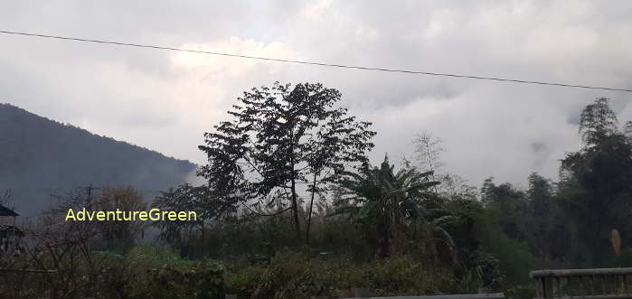 Mountains by the O Quy Ho Pass in Lai Chau