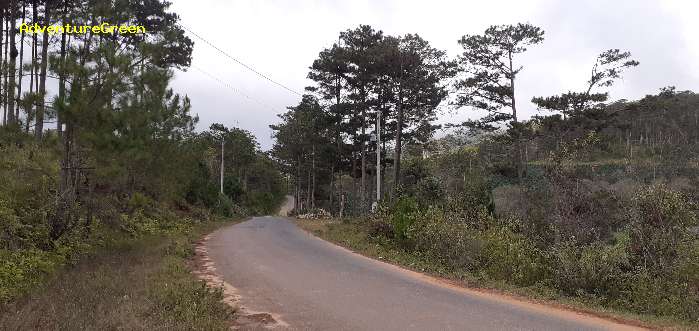 Road to the Bidoup Nui Ba National Park in Lam Dong Vietnam
