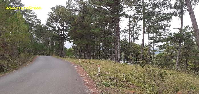 A scenic road to the Bidoup Nui Ba National Park in Lam Dong Province, Vietnam