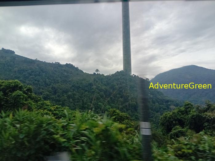 Best bird watching tours in southern Vietnam
