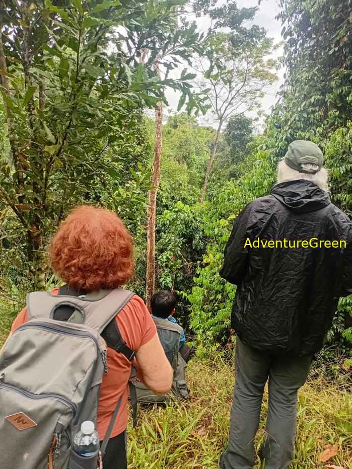 Best bird watching tours in southern Vietnam