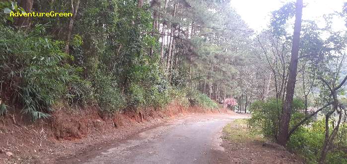 Road to Ta Nung, a famed birding spot in Da Lat Vietnam