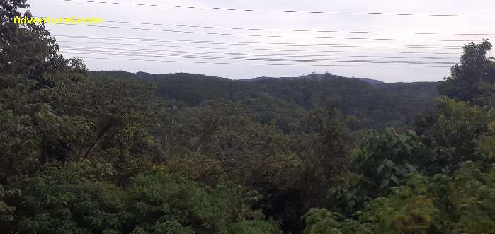 Birdwatching in Da Lat Vietnam Birding in Da Lat Vietnam