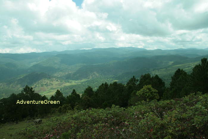 If you do not want to trek, then take a jeep tour to the Radar Peak of the Lang Biang Mountain which is 1,929m above sea level