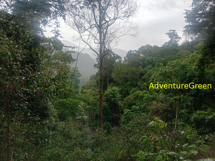 Liliang Waterfall in Di Linh Lam Dong Vietnam Liliang Waterfall in Di Linh Lam Dong Vietnam
