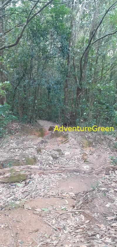Trekking and hiking adventure to the summit of Mount Lang Biang, outside of Da Lat, Vietnam