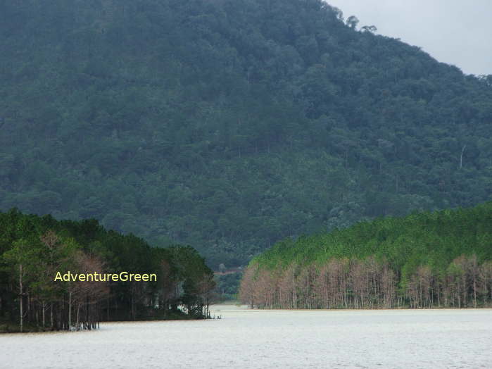 The Tuyen Lam Lake is a good spot for bird watching in Da Lat Vietnam