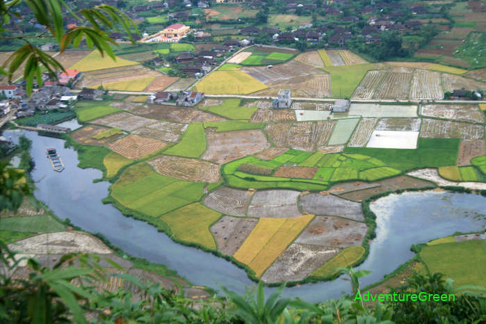 Colorful rice fields at the Bac Son Valley
